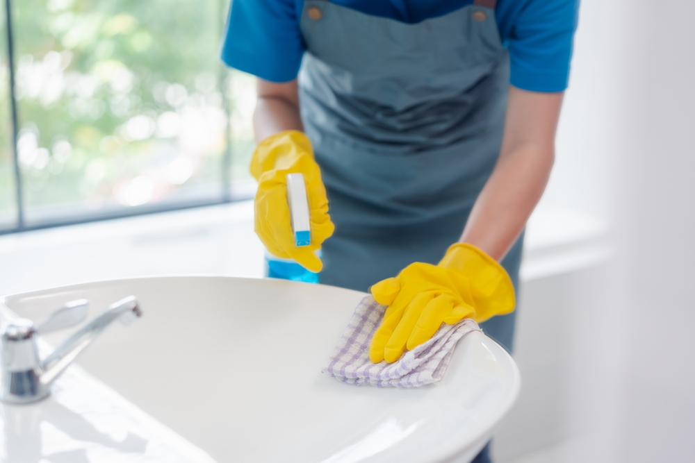 Housework,Or,House,Keeping,Service,Female,Cleaning,Dust,In,Toilet,